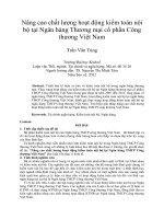 Nâng cao chất lượng hoạt động kiểm toán nội bộ tại ngân hàng Công Thương Việt Nam