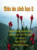 Bài giảng nhac hieu doi