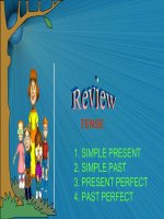 Bài soạn Revision  tense of verbs