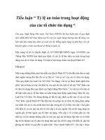 Tiểu luận “ Tỷ lệ an toàn trong hoạt động của các tổ chức tín dụng “