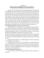 PHÂN TÍCH THỰC TRẠNG SẢN XUẤT KINH DOANH CỦA CÔNG TY Cao Su Sao Vàng