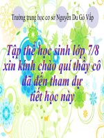 Chuyên đề Rau mầm