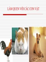 Tài liệu Bé tìm hiểu động vật