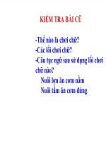 Chuẩn mực sử dụng từ