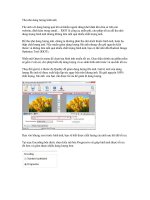 Thu nhỏ âm lượng hình ảnh