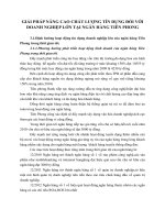 GIẢI PHÁP NÂNG CAO CHẤT LƯỢNG TÍN DỤNG ĐỐI VỚI DOANH NGHIỆP LỚN TẠI NGÂN HÀNG TIÊN PHONG