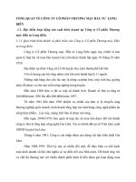 TỔNG QUAN VỀ CÔNG TY CỔ PHẦN THƯƠNG MẠI  ĐẦU TƯ  LONG BIÊN