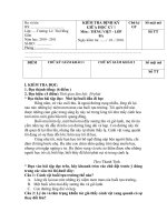 Tài liệu TIẾNG VIỆT GKI 10-11