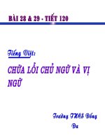 Chữa lỗi chủ ngữ vị ngữ lớp 6