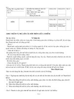 Đề kiểm tra cuối học kì I 2010