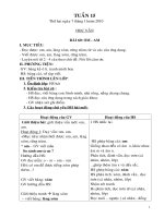 Giáo án 1- Tuần 15( CKT-BVMT)