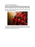 Bài soạn THỰC PHẨM GIÚP NGĂN NGỪA UNG THƯ