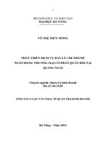 Phát triển dịch vụ bán lẻ chi nhánh ngân hàng thương mại cổ phần quân đội tại quảng ngãi 