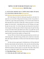 NHỮNG VẤN ĐỀ VỀ RỦI RO TÍN DỤNG TẠI NGÂN HÀNGNGÂN HÀNG THƯƠNG MẠI