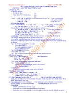 Bài giảng ôn ca năm