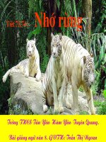 Gián án Tiết 73,74: Nhớ rừng