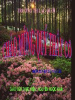 Tài liệu Mở rộng vốn từ : ức khỏe 4