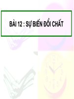 Bài giảng Bai 12. su bien doi chat
