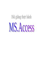 Bài giảng MS.ACCESS