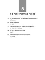 The peri-operative period