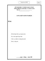 Gián án HD mẫu bìa SKKN