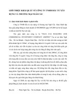 GIỚI THIỆU KHÁI QUÁT VỀ CÔNG TY TNHH ĐẦU TƯ XÂY DỰNG VÀ THƯƠNG MẠI NGÃI CẦU