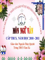 Một thứ quà của lúa non: cốm