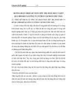 HƯỚNG HOÀN THIỆN KẾ TOÁN TIÊU THỤ HÀNG HOÁ VÀ KẾT QUẢ HĐSXKD TẠI CÔNG TY CỔ PHẦN TẬP ĐOÀN PHÚ THÁI