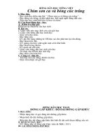 Tài liệu Giáo án tùân 21 chiều