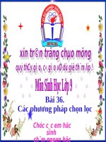 Bài giảng Bai 36. Cac phuong phap chon loc