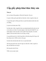 Cấp giấy phép khai thác thủy sản