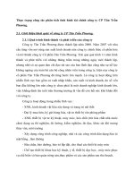 Thực trạng công tác phân tích tình hình tài chính công ty CP Tân Trần Phương