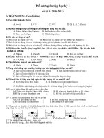 decuong ontapHKIvatly8(2010 - 2011)