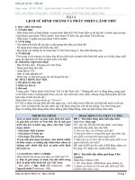 Bài giảng Lịch sử hình thành avaf phát triển lãnh thổ