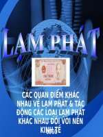 CÁC QUAN điểm KHÁC NHAU về lạm PHÁT & tác ĐỘNG các LOẠI lạm PHÁT KHÁC NHAU đối với nền KINH tế 