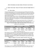 PHÂN TÍCH HIỆU QUẢ HOẠT ĐỘNG TÍN DỤNG NGÂN HÀNG