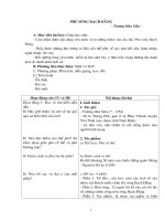 Tài liệu Phu song Bach Dang (Trương Hán Siêu)