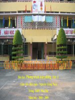 Tài liệu Phuong trinh mat phang(tiet 1)