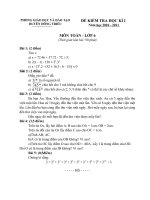 Gián án Đề thi HK 1 môn Toán năm học 2010-2011