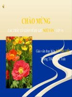 Bài soạn Thanh phan biet lap - Tiet 98