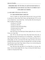 Tình hình thực tế về công tác kế toán bán hàng và xác định kết quả bán hàng tại Công ty cổ phần vật tư tổng hợp Xuân Trường.