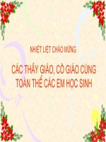 Bài soạn Các truong hop đong dang tam giac vuong