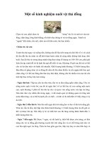 Một số kinh nghiệm nuôi vịt thả đồng