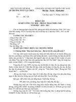 Bài soạn bao cao so ket cong tac doi hoc ki I nam hoc 2010-2011