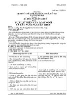 giao an lich su 10co hinh anh minh hoa