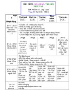 Bài giảng chu de cay xanh