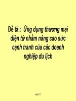 Ứng dụng thương mại điện tử nhằm nâng cao sức cạnh tranh của các doanh nghiệp du lịch