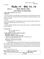 Giao an Van 6 tuan 17 tuyet hay