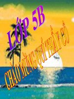 Tài liệu tuan 20 chinh ta