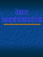 Tài liệu ung dung CNTT vao day van